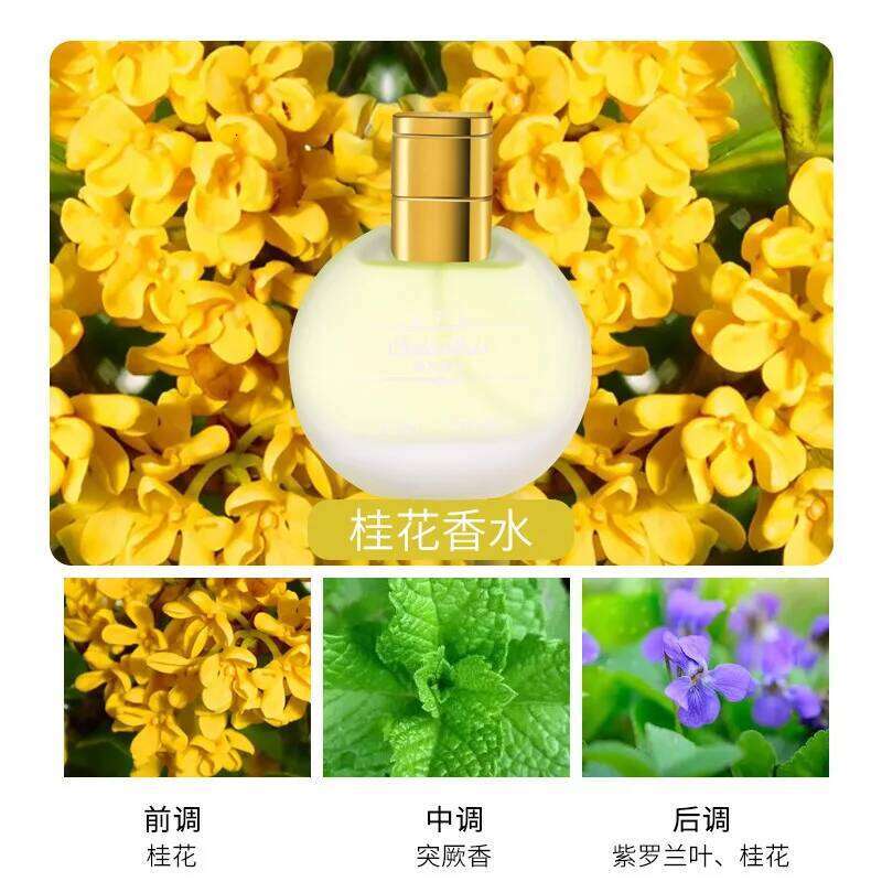 50ml Unique Rose Lily Osmanthus Lasting Essential Oil Women's Charming Natural Fresh Floral Perfume Fragrance Spray Z260311