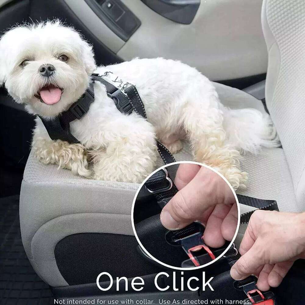 Car Dog Cover for Back Waterproof Auto Rear Pet Seat Protector Mat Nonslip Universal Safety Carrier For Outing Dogs 26Y0310