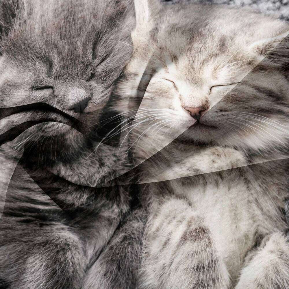 3pcs Romantic Valentine'S Day High-Grade Couple Cat Print Bedding Set, SoftComfortable Bed Duvet Cover H260311