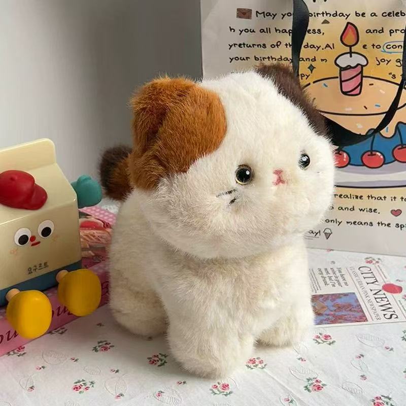 Internet celebrity cartoon three flower cat doll doll bib hat kitten plush toy doll birthday gift wholesale