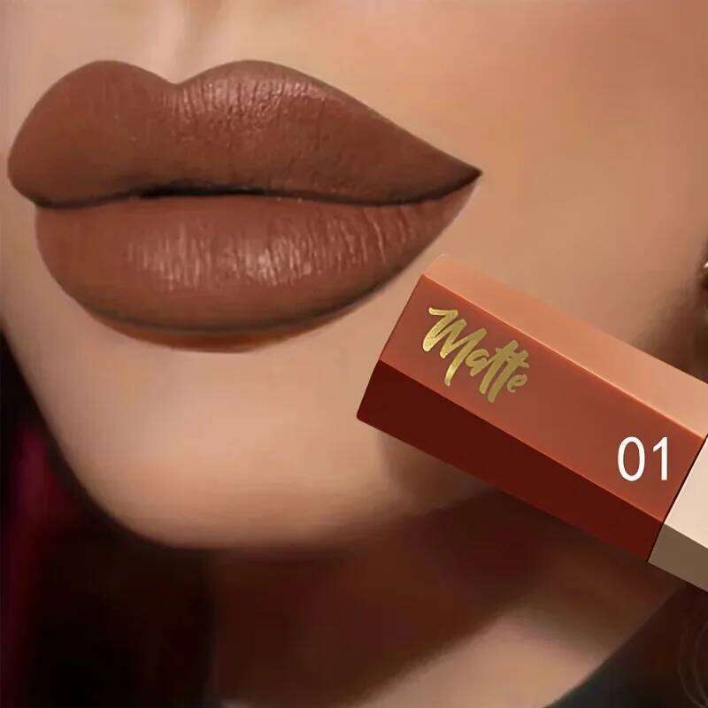 Luxury Liquid Lipstick, Long Lasting Waterproof Velvet Lip Color, Smooth Lightweight Fog Matte Finis W260311