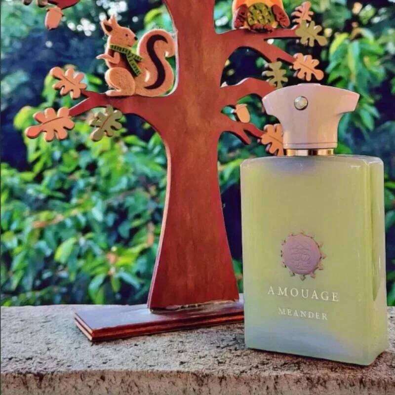 Mens Eau De Parfum Long Lasting 100ml Aromatic Woody Fragrance with Fresh Warm Clean Notes and Refined Masculine Z260311