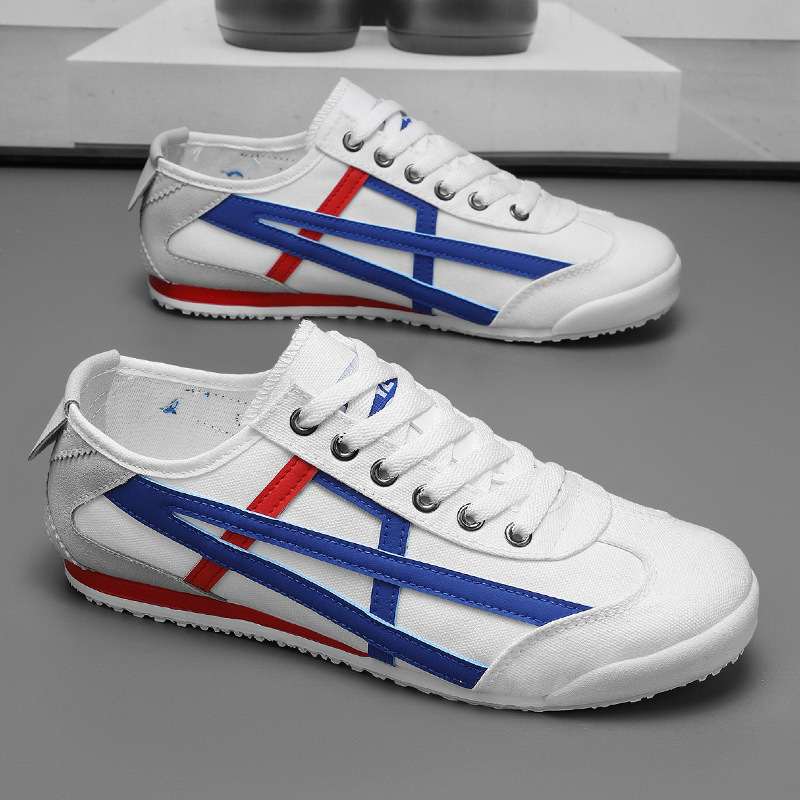 2026 New Style Men's Canvas Shoes - Luxurious White Casual Multi-functional Outdoor Men's Sporty Casual Shoes - White Fashion Shoe Style