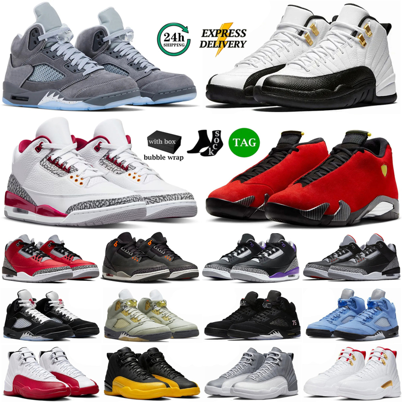 With Box 3s 5s 12s Basketball Shoes Mens Womens Designer Shoes 5 Wolf Grey Fire Red Metallic Black Cement UNC University Gold Black Cat True Blue Trainers Sneakers