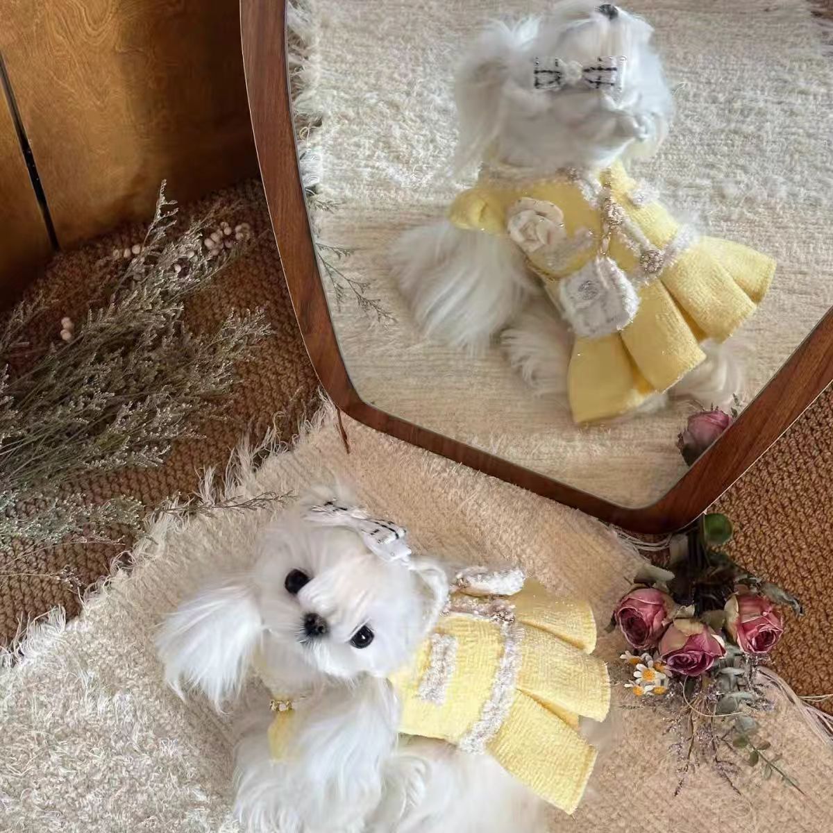 Luxury Pearl Magnolia Design High-End Custom Pet Dress Set Winter Clothes Suit For Small Dog Z251223