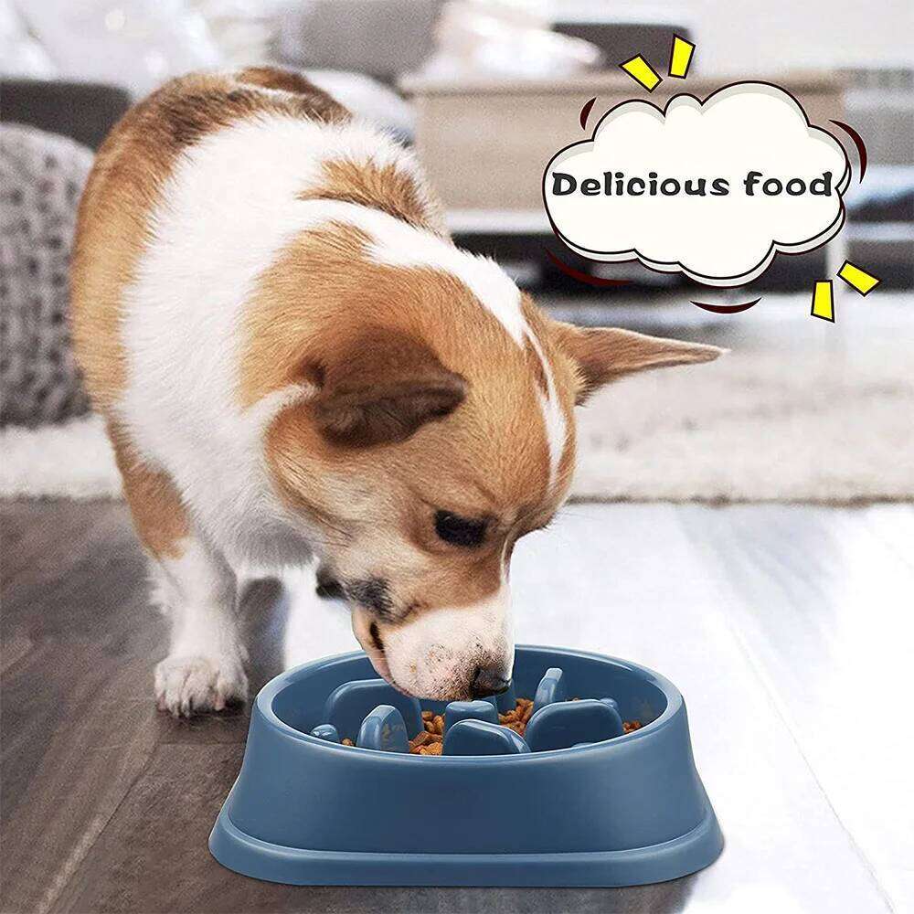 Slow Feeder Non Slip Anti-Gulping Pet Slower Food Feeding Dishes Dog Bowl for Medium Small Dogs Puppy 26Y0312
