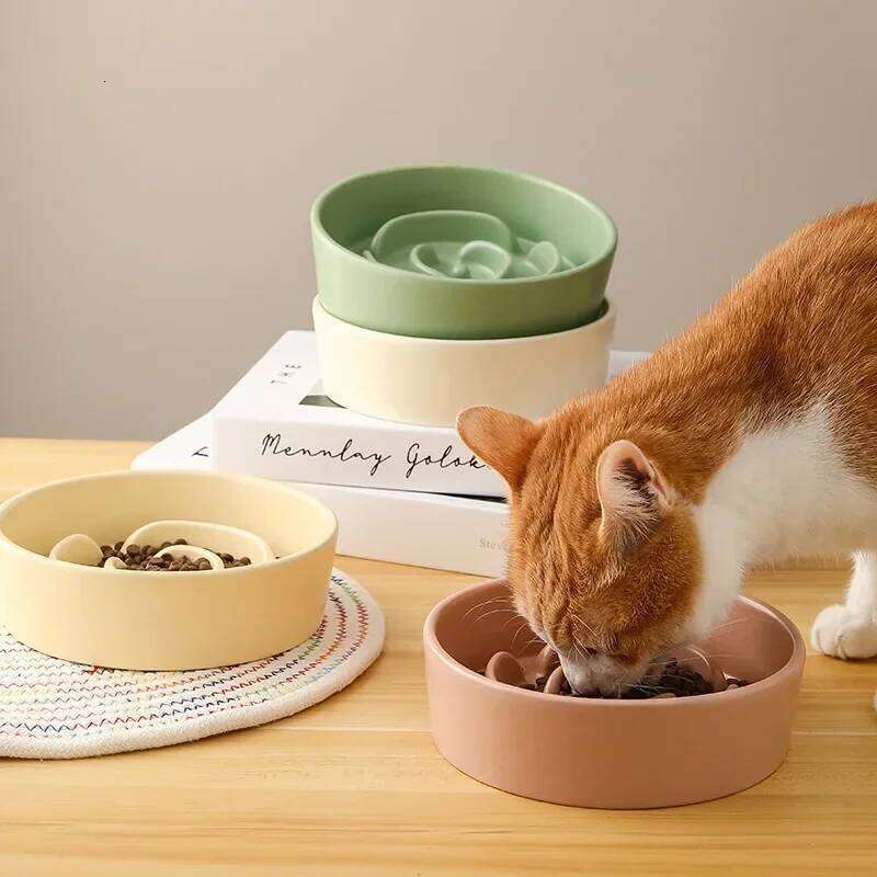Ceramic Pet Cat Small and Medium-Sized Dogs Dog Puppy Feeding Anti-Choke Slow Food Anti-Tumble Eating Bowl 26Y0312