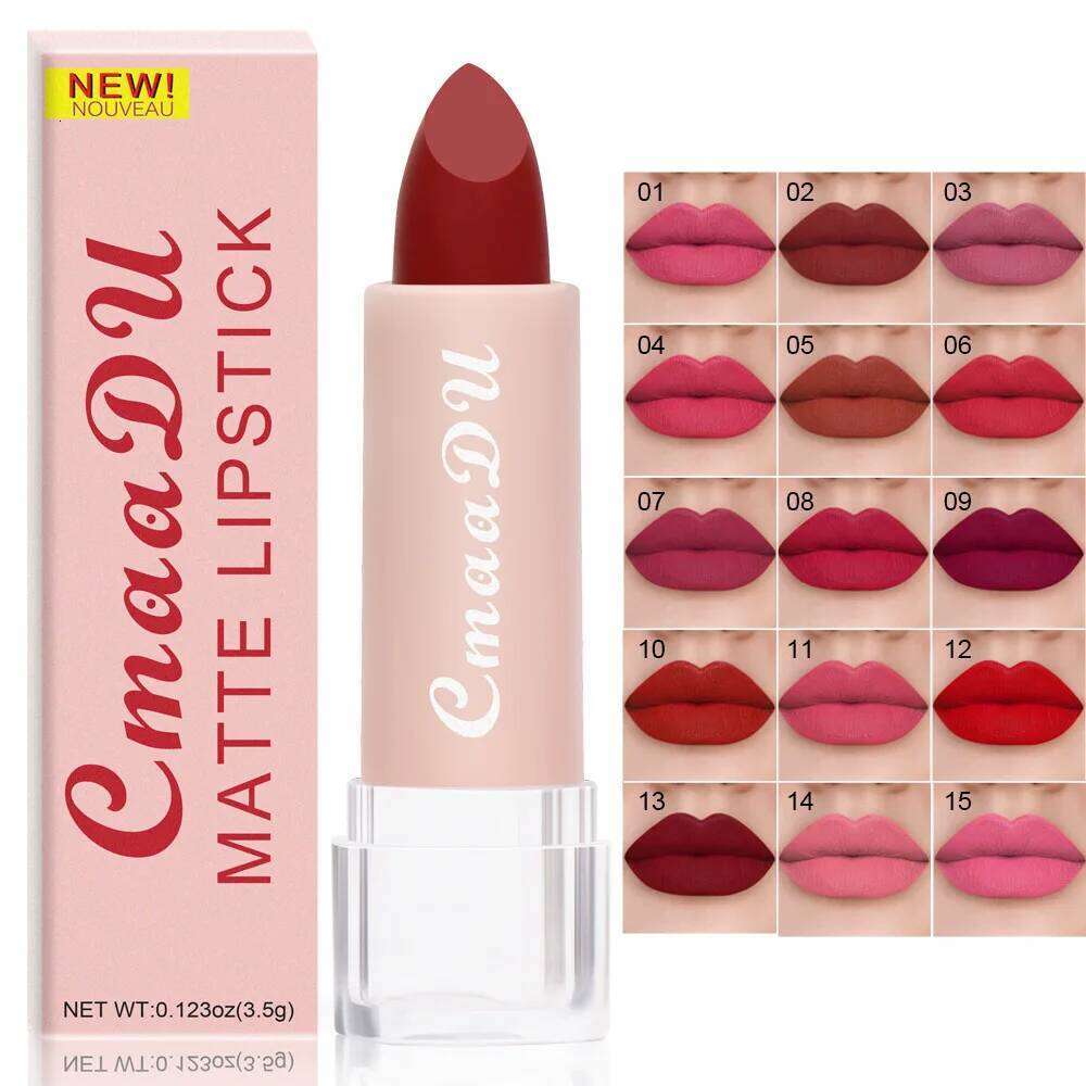 15 Colors Matte Lipsticks Waterproof Long Lasting Sexy Red Stick Makeup Brown Velvet Pigments Lip Tint Profissional Cosmetic W260311