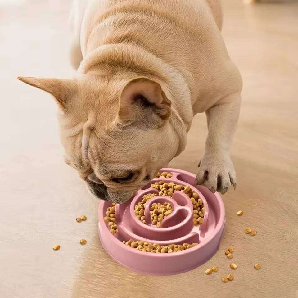 Pet anti-choking cat and dog slow feeding tray licking pet supplies 26Y0312