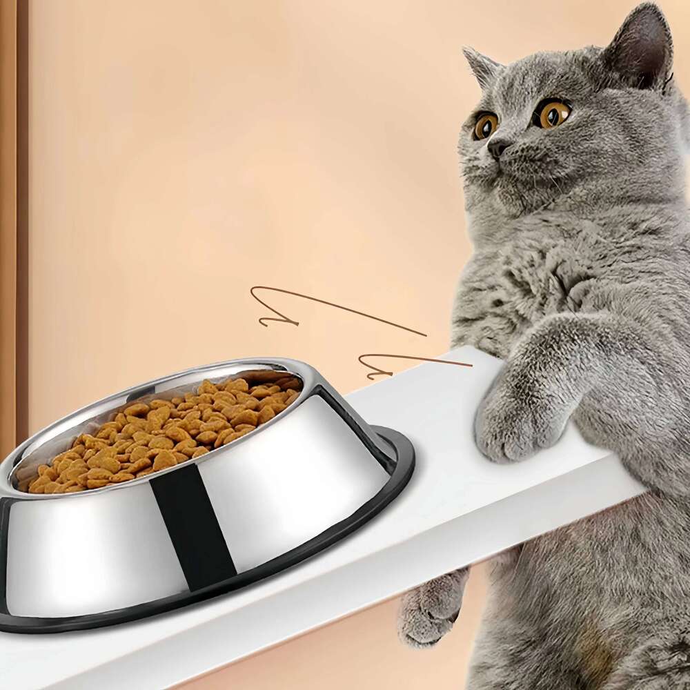 Stainless Steel Feeding Cat and Dog Drinking Metal Feeder Bowl Durable Easy To Clean Pet Supplies 26Y0312