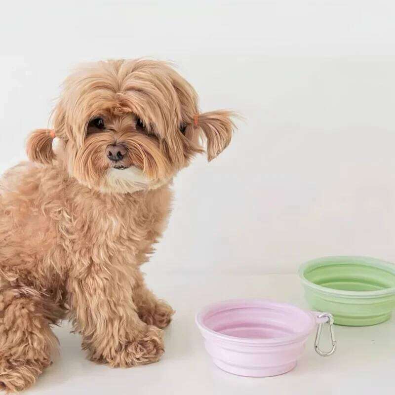 Dog Pet Folding Silicone 350ml/650ml Outdoor Travel Foldable Portable Cat Food Water Container Feeding Tray Bowls 26Y0312