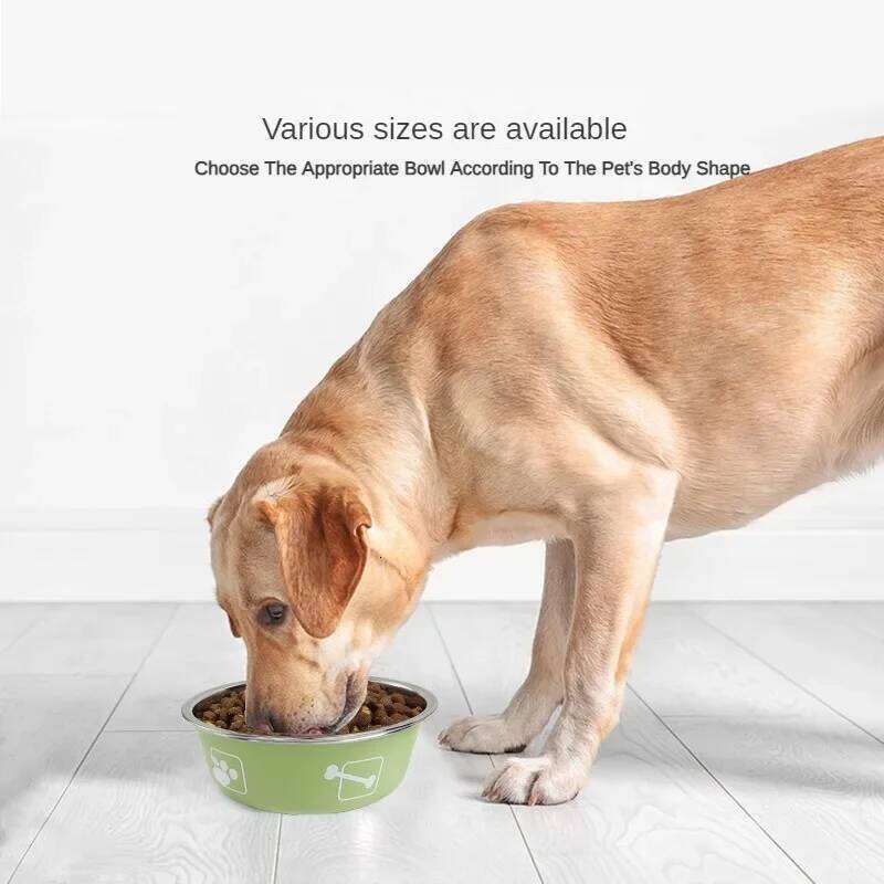 Stainless Steel Double Layer Thickened Durable Anti-slip Anti-knock Over Dog Food Bowl Pet Feeder Water Basin 26Y0312