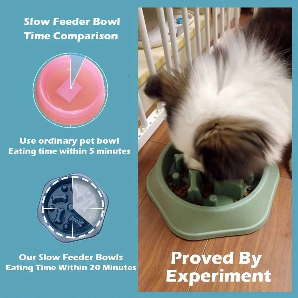 Feeder Non-choking Bowl Anti Slip Large Capacity for Dog and Cat Anxiety Slow Food Feeding Pet Supply 26Y0312