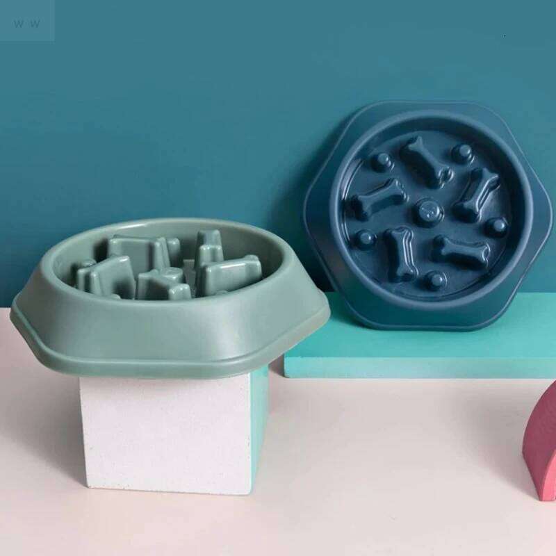 Pet Slow Food Anti-choking Feeder PP Plastic Dish Bowl Home Dog Eating Plate Anti-gulping Feeding Supplies 26Y0312