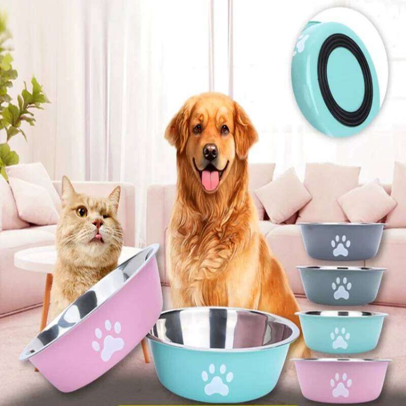 Large capacity stainless steel anti-slip anti-rust dog water pet feeder double-layer cat bowl suitable for puppies 26Y0312