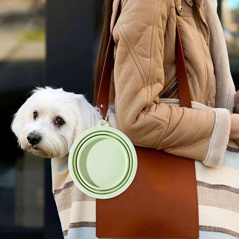 350ML Folding Dish Collapsible Pet Dog Cat Water Bowl Drinking Fountains for Dogs 26Y0312