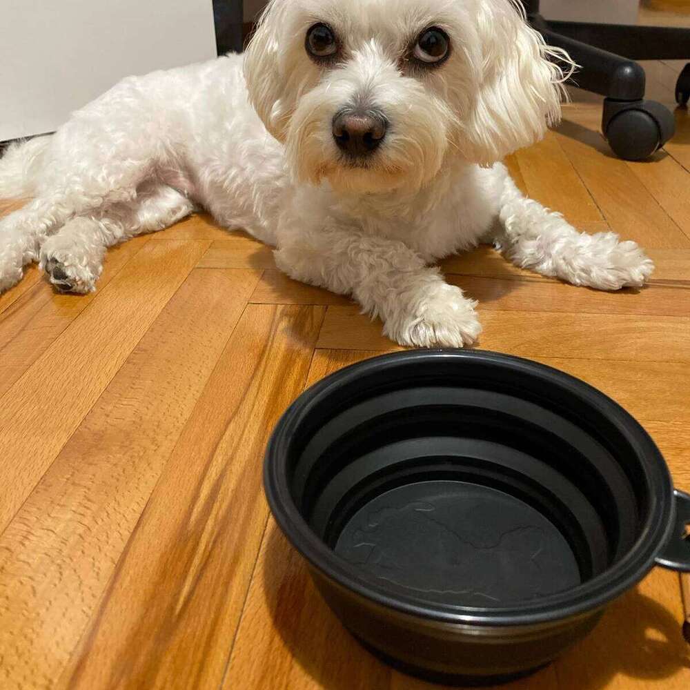 Collapsible Silicone Dog Food Water Outdoor Camping Travel Portable Folding Supplies Pet Bowl Dishes with Carabiner 26Y0312