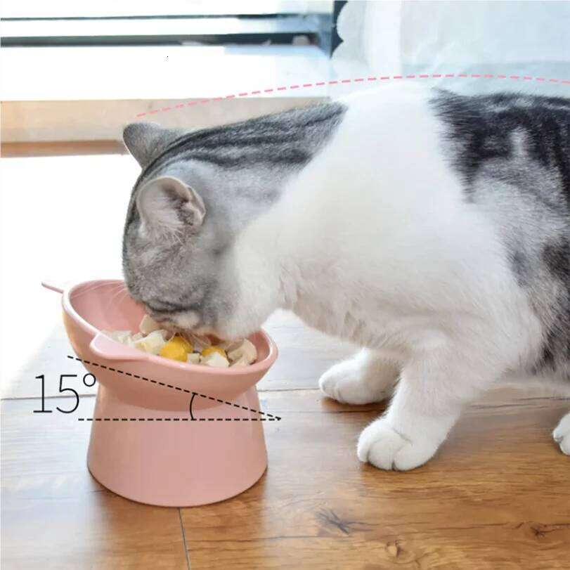 2022 Hot High Foot Dog 45Neck Protector Cat Food Water Feeding Cup Pet Feeder Bowl 26Y0312