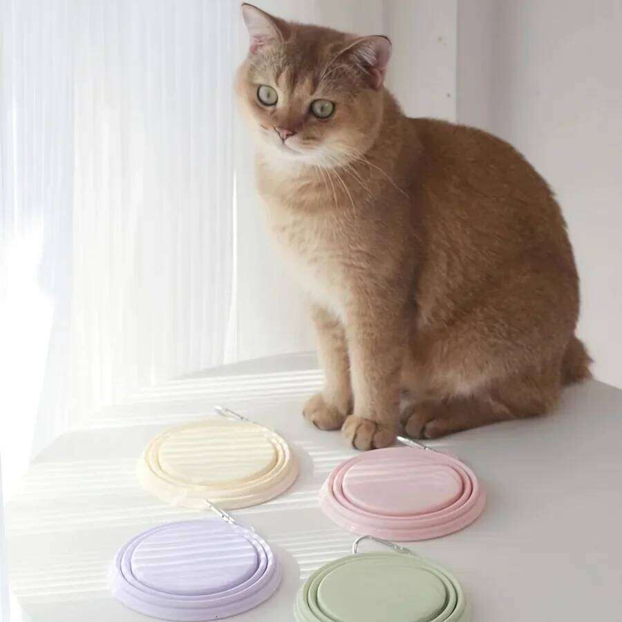 Folding Silicone Pet Bowl in Macaron Colors. Portable Food & Water Container Dogs, Ideal for Outdoor Travel 26Y0312