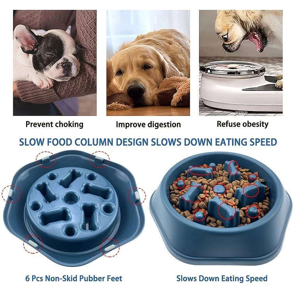 Feeder Non-choking Bowl Anti Slip Large Capacity for Dog and Cat Anxiety Slow Food Feeding Pet Supply 26Y0312