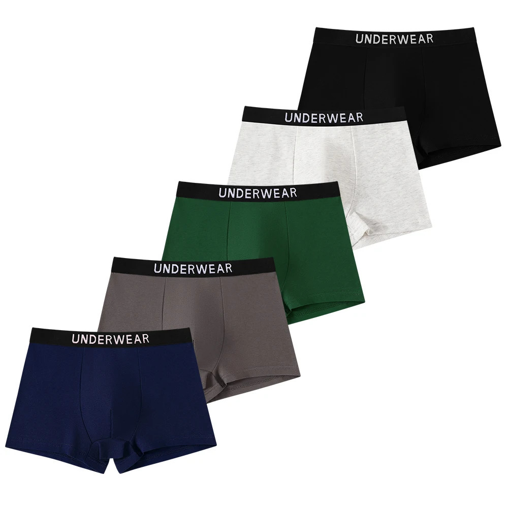 5pcs Mixed Boys Underwear 814 Years Old Plain Color Black Gray Blue Cotton Soft Breathable Comfortable Simple Boy Flat Angle Un 260311