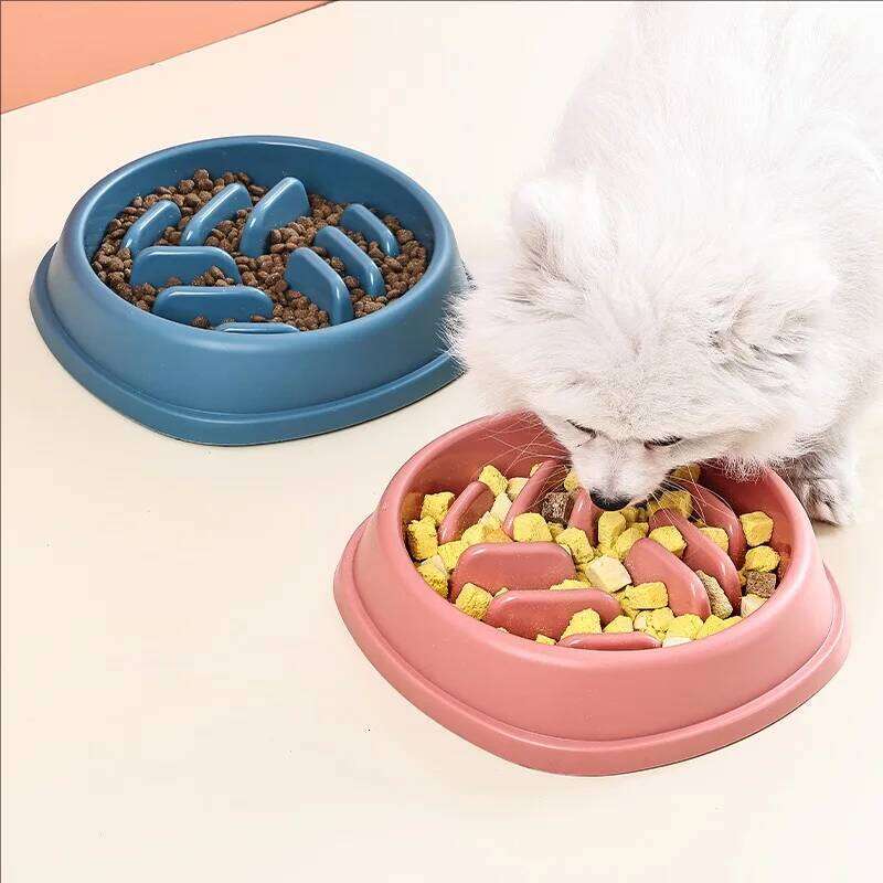Supplies Dogs and Cats Food Non-Choking Non-Slip Slow Feeder Thickened Plastic Plate Pet Feeding Bowl 26Y0312