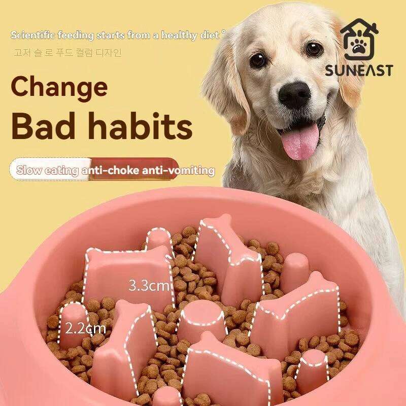 Pet Food Bowl, Environmentally Friendly 26Y0312
