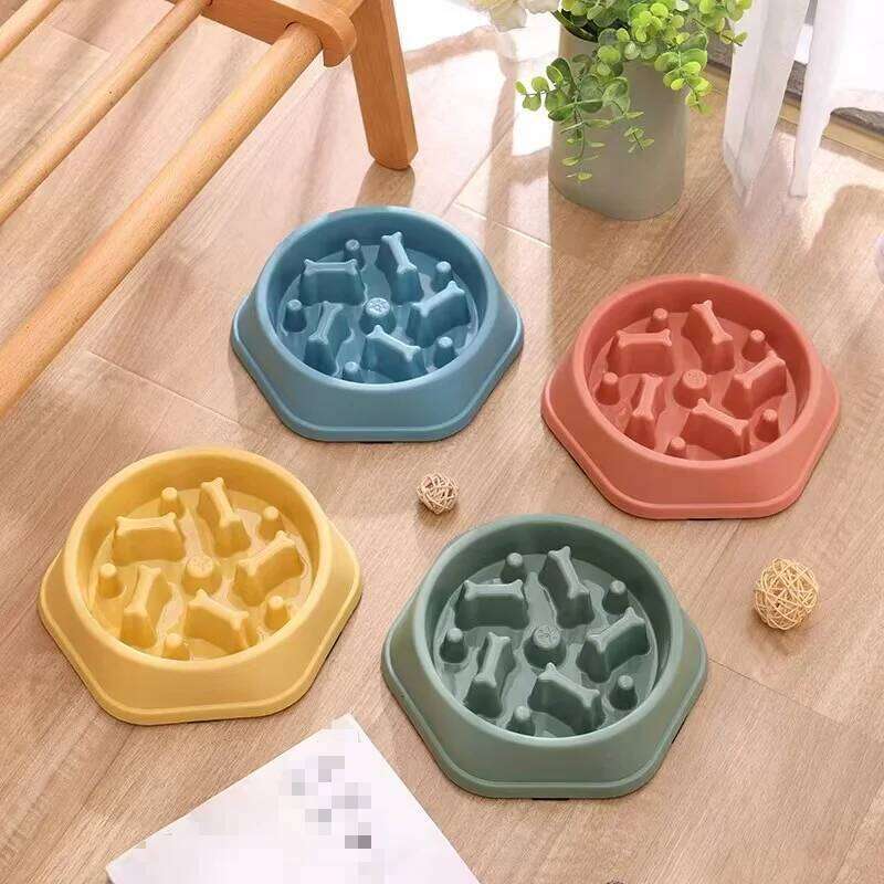 Pet Food Bowl, Environmentally Friendly 26Y0312