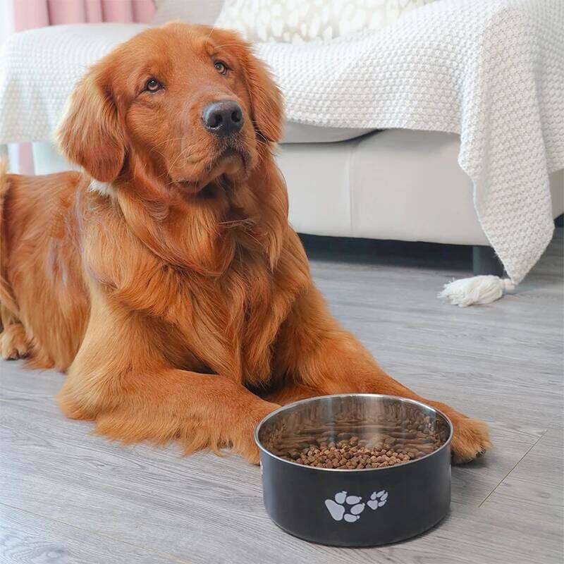 A cartoon-patterned bowl, easy to clean, made of stainless steel, suitable for both outdoor and indoor pet owners. 26Y0312