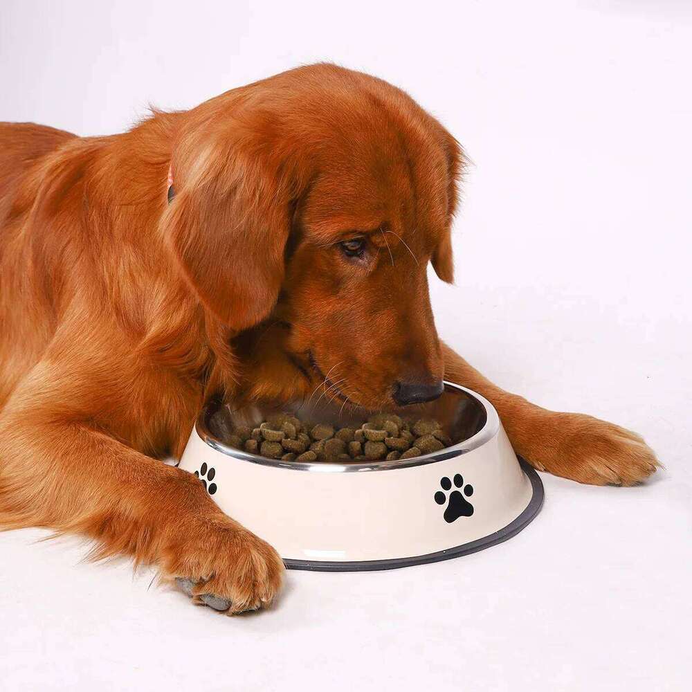 Stainless steel large capacity dog multiple specifications anti-fall food bowl feeding pet supplies 26Y0312