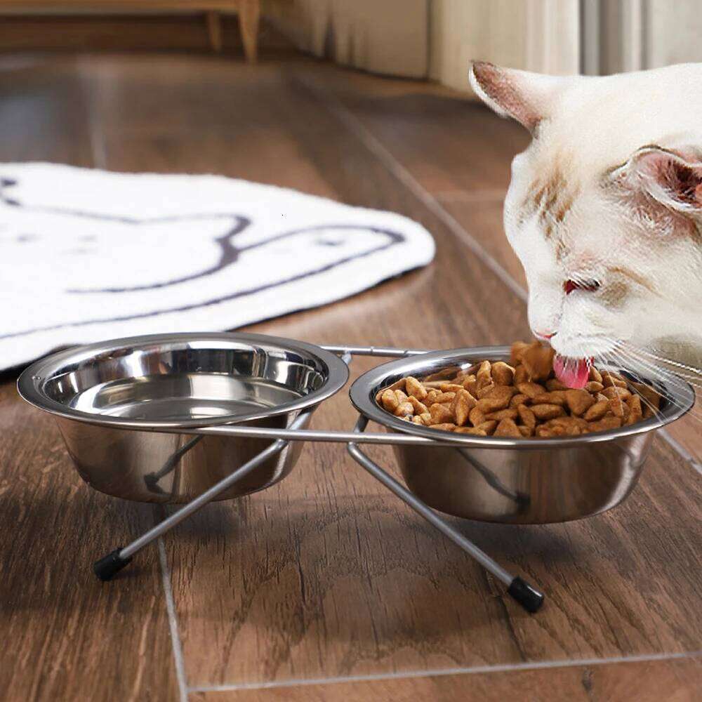 1pc S/M/L Stainless Steel Floor-standing Double Bowl Fall-proof & Durable Line Iron Frame Feeder Dog Bowls for Pet Dogs Cat 26Y0312