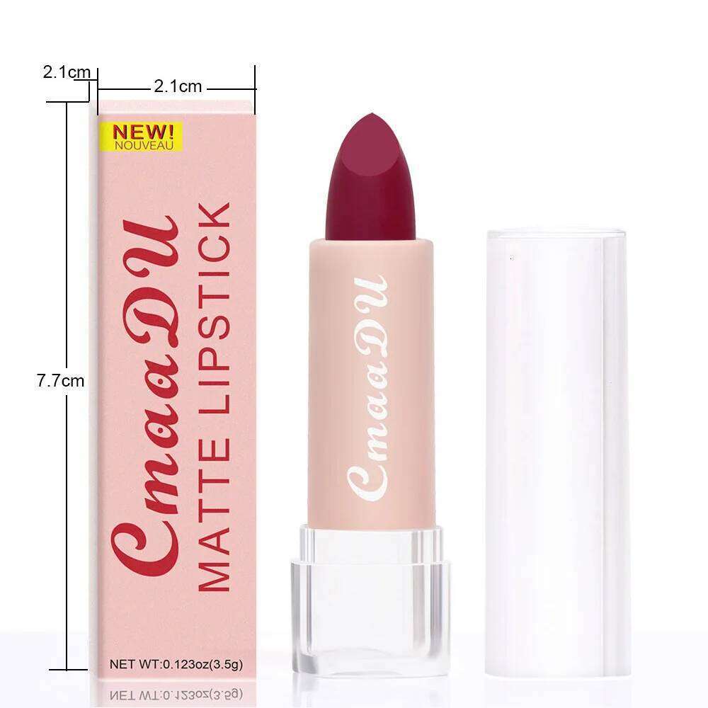 15 Colors Matte Lipsticks Waterproof Long Lasting Sexy Red Stick Makeup Brown Velvet Pigments Lip Tint Profissional Cosmetic W260311