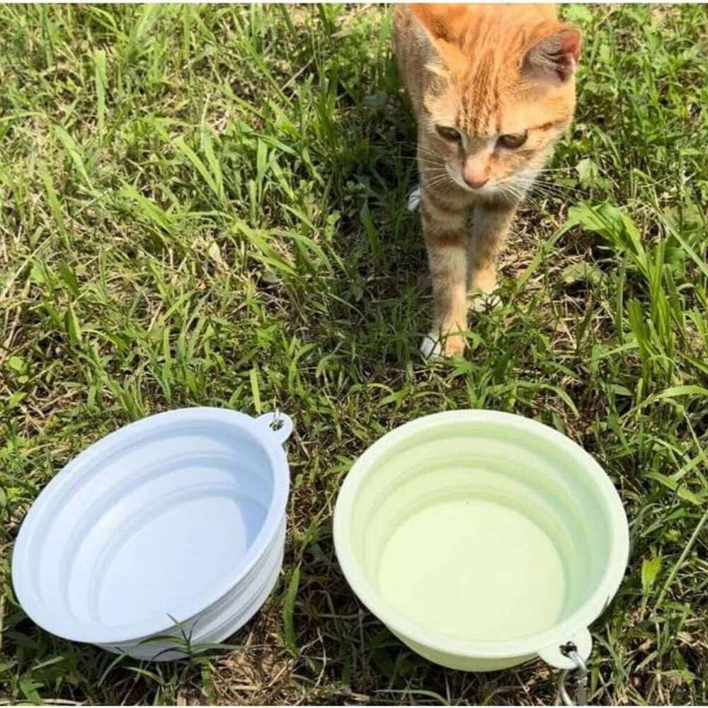 Pet Folding Silicone Outdoor Travel Portable Food Water Container Dogs Feed Supplies Bowl Cat with Carabiner 26Y0312