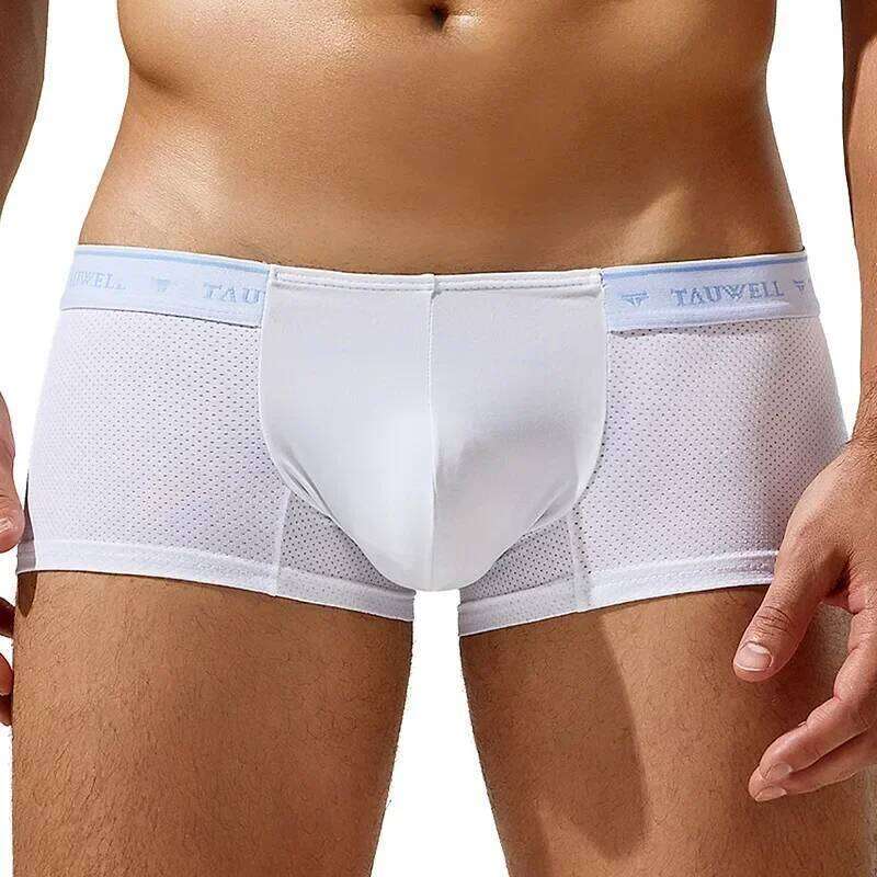 Men's Boxy Underwear Ice Silk Mesh Breathable Comfort Quick Dry Elastic Sports Trunk Youth Low-rise U Convex Pouch Boxer Shorts Z260312