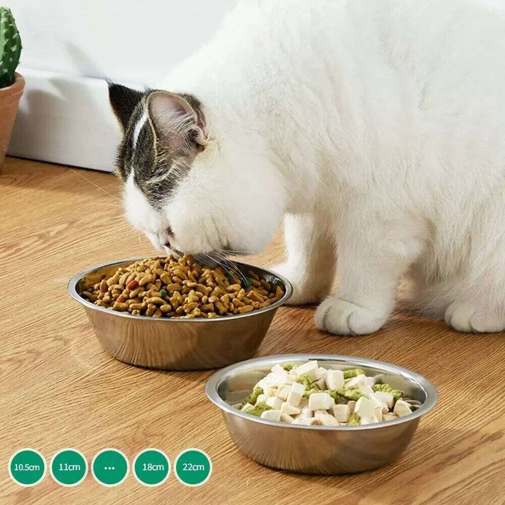 Large Capacity Stainless Steel Pet Feeding Bowls Cat Dog Food Drinking Metal Feeder Bowl Durable and Cheap 26Y0312