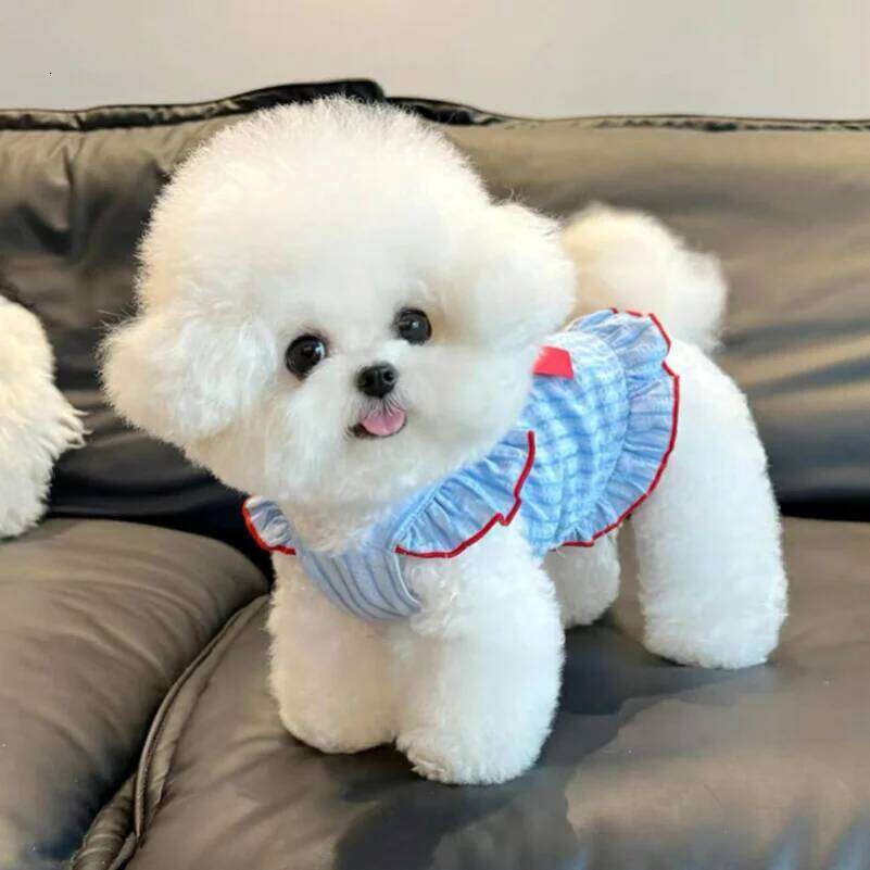 Princess Skirt Thin Summer Teddy Bichon Pomeranian Schnauzer Clothes Pet Cats Dress for Small Dog