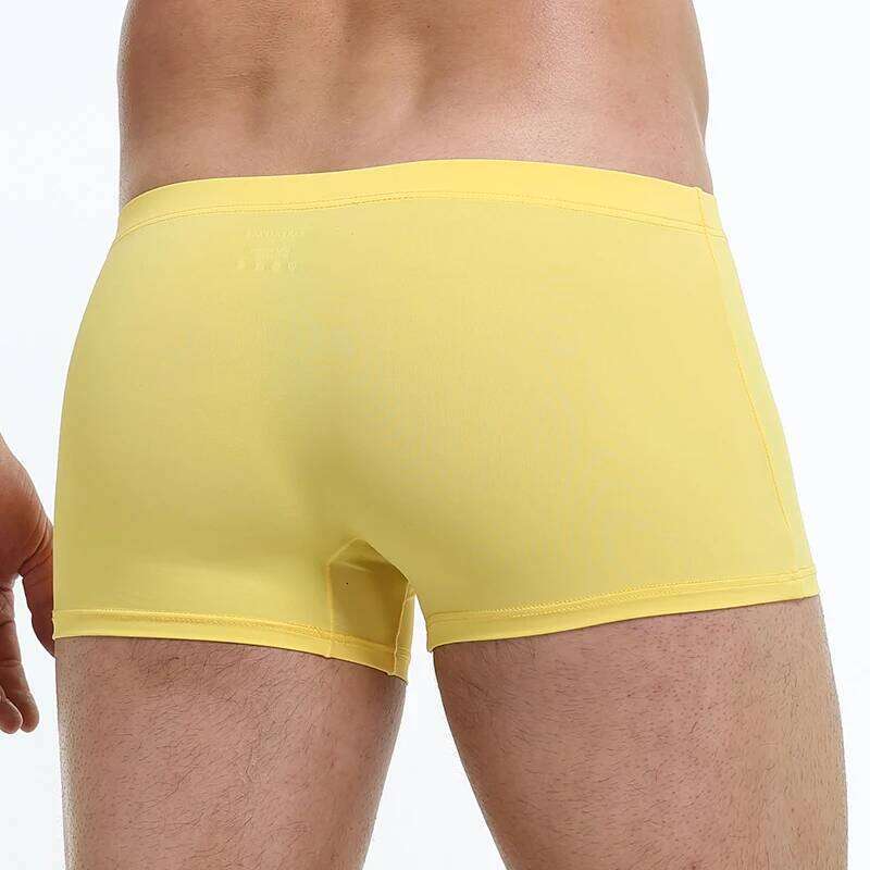 Men's Ice Silk Boxers Breathable Panties Male Large Ultra Thin Boxer Shorts Sexy Underwear Z260312