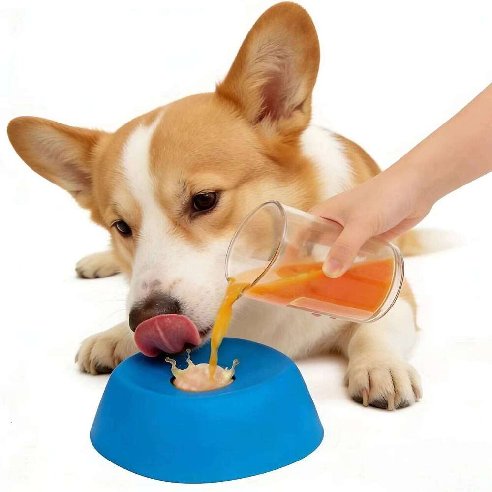 Anti-Choking Bowl, Anti-Slip Liquid Bone Broth Dog Lick Bowl ,for Large Medium Small Breeds Dietary Supplement 26Y0312