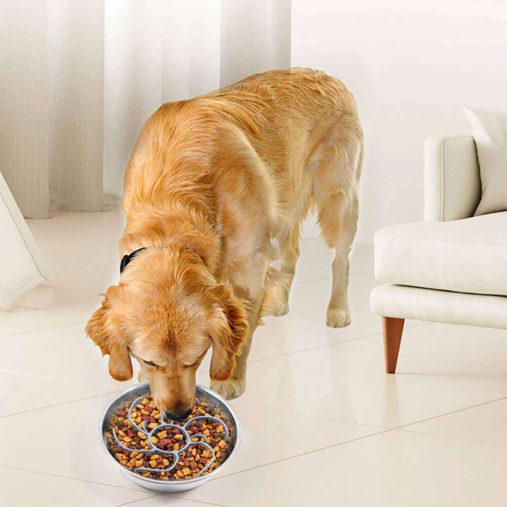 Feeder Insert Choking Prevention Slow Feeding Bowl dium Breed Large Sized Dog 26Y0312