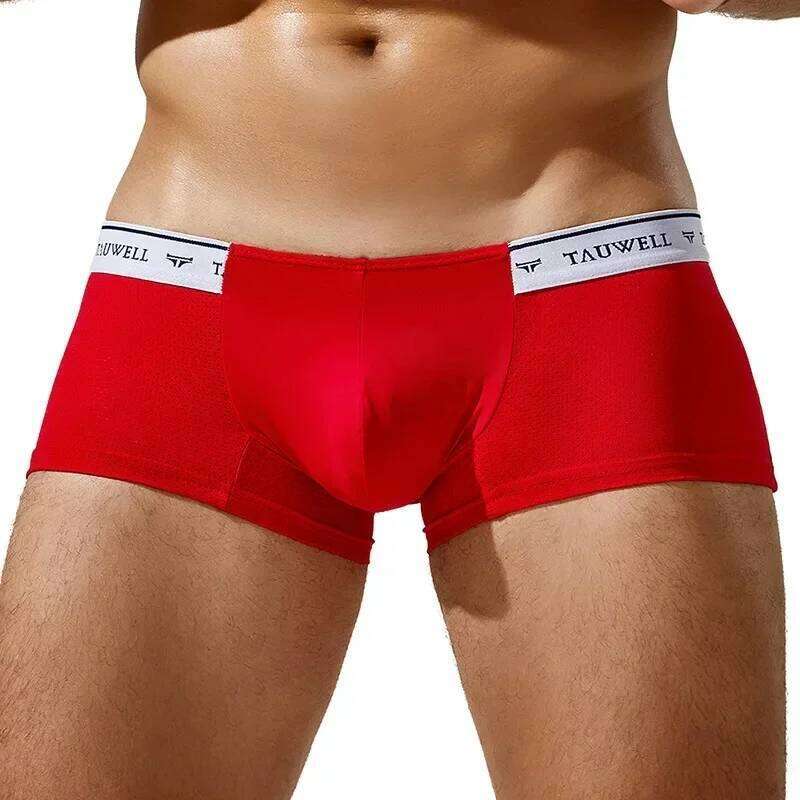 Men's Boxy Underwear Ice Silk Mesh Breathable Comfort Quick Dry Elastic Sports Trunk Youth Low-rise U Convex Pouch Boxer Shorts Z260312