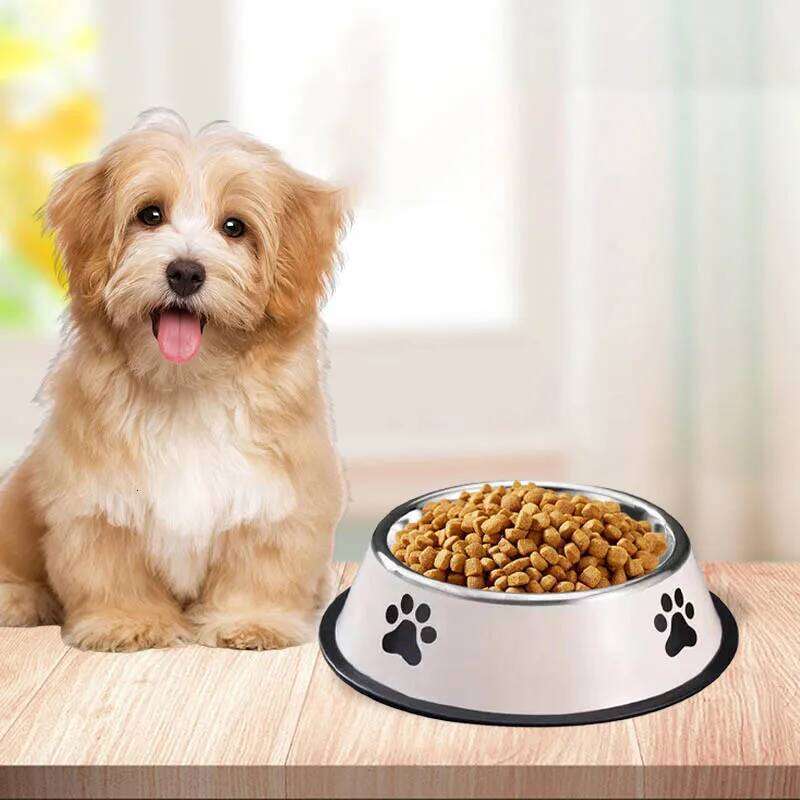 Stainless steel anti-tipping cat capacity bowls medium and large size dog food bowls pet supplies 26Y0312