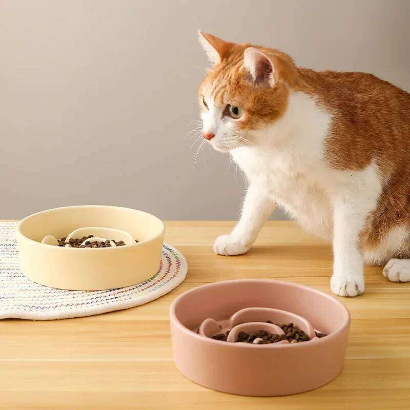 Ceramic Pet Cat Small and Medium-Sized Dogs Dog Puppy Feeding Anti-Choke Slow Food Anti-Tumble Eating Bowl 26Y0312
