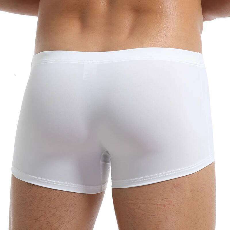 Men's Ice Silk Boxers Breathable Panties Male Large Ultra Thin Boxer Shorts Sexy Underwear Z260312