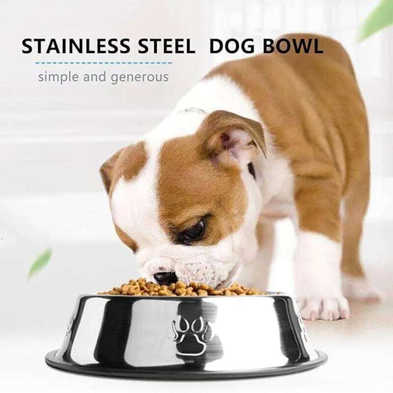 1PC Stainless Steel Cat Dog Multi-Specification Anti-fall Food Bowl Feeding Pet Supplies 26Y0312