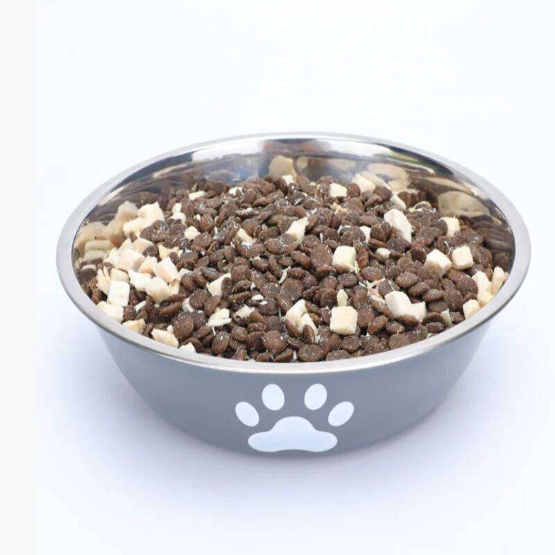 Large capacity stainless steel anti-slip anti-rust dog water pet feeder double-layer cat bowl suitable for puppies 26Y0312