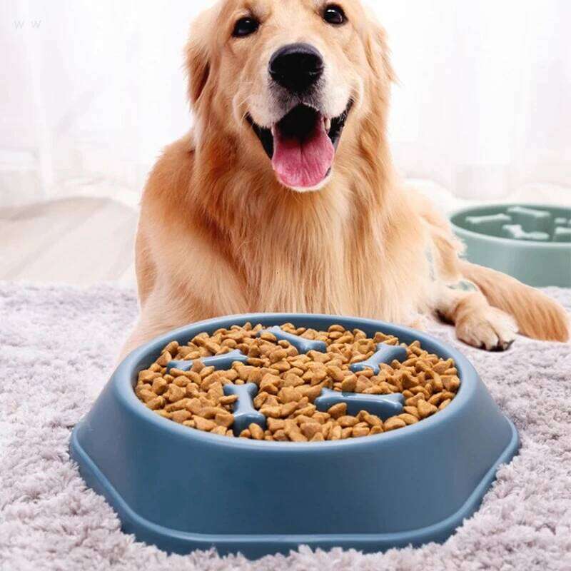 Pet Slow Food Anti-choking Feeder PP Plastic Dish Bowl Home Dog Eating Plate Anti-gulping Feeding Supplies 26Y0312