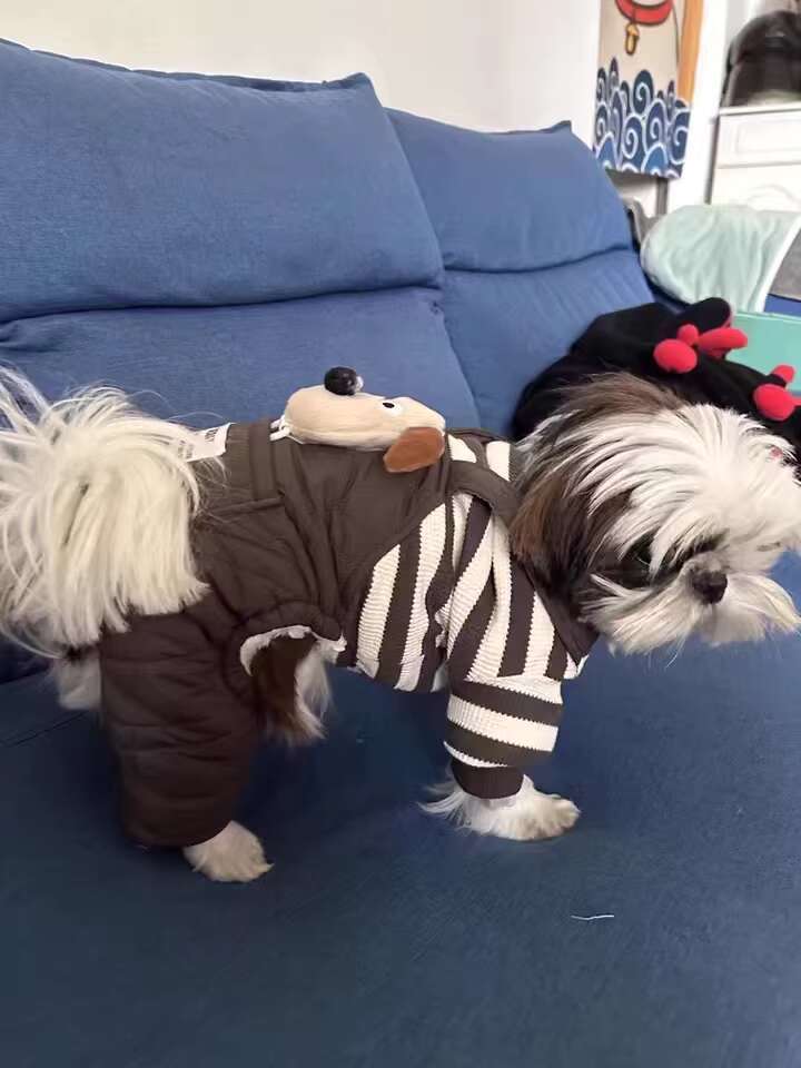 Winter Pet Dog Vest Jacket for Small Medium Dogs Cats pet Warm Cotton Clothes Puppy Yorkie Chihuahua Coat Maltese Bulldog wear