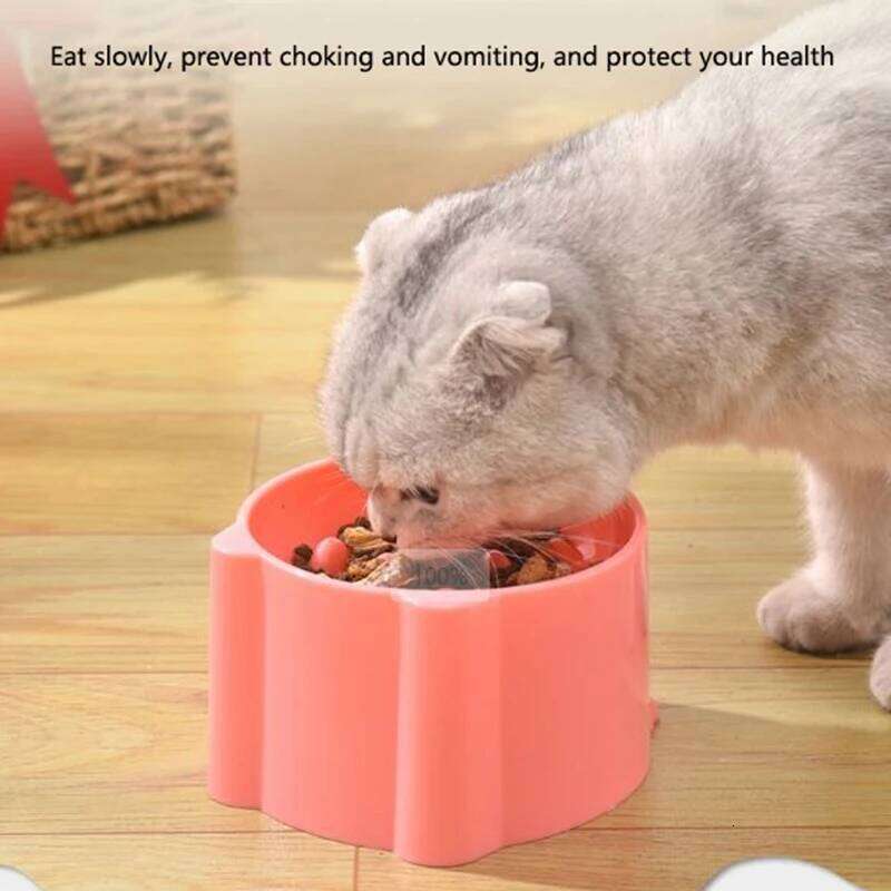 Dog slow food small anti-choking bowl neck protection design cat and dog feeding device pet supplies 26Y0312