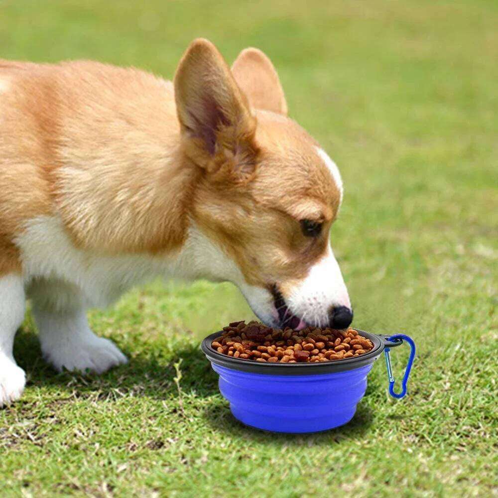 1000ML Silicone Feeder With Carabiner Folding Cat Bowl Travel Dog Feeding Supplies Food Water Container Pet Accessories 26Y0312