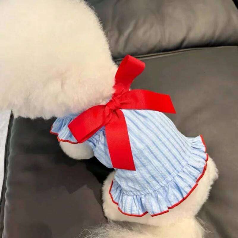 Princess Skirt Thin Summer Teddy Bichon Pomeranian Schnauzer Clothes Pet Cats Dress for Small Dog
